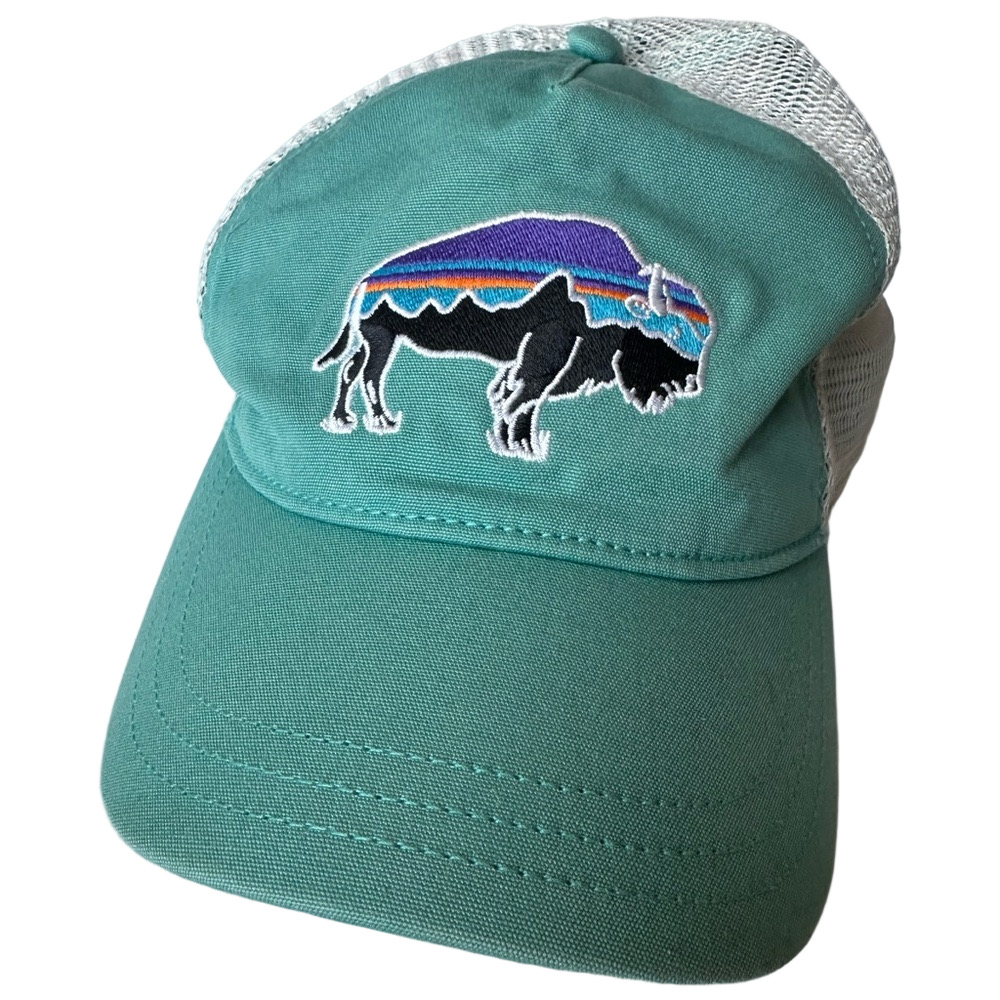 Patagonia Fitzroy Turquoise Buffalo Bison Trucker Cap Hat SnapBack